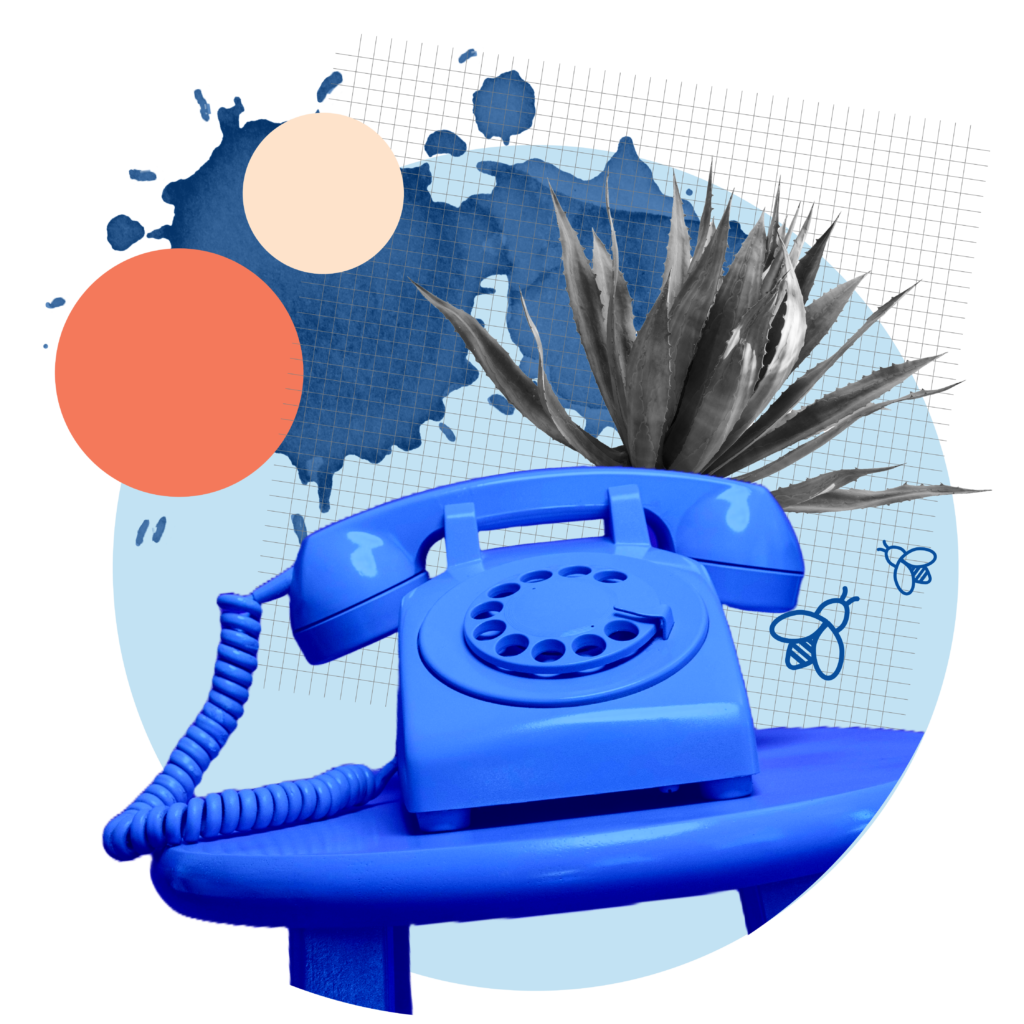 A collage of images mainly featuring a bright blue rotary telephone, and agave plant, and a couple of bees.