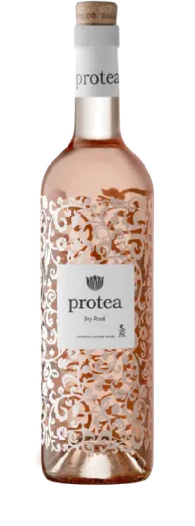 Protea Rose